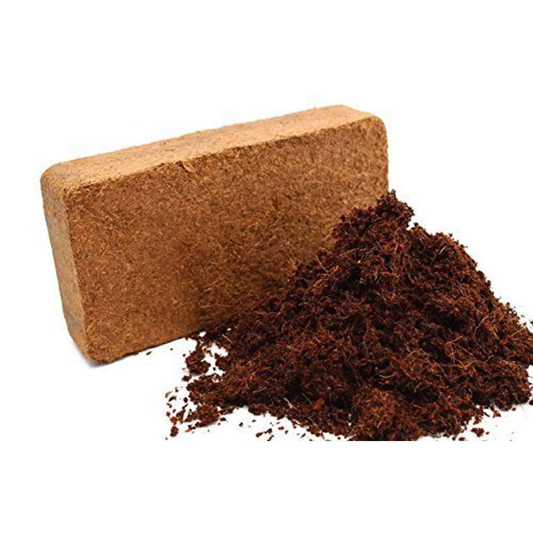 Kokosmuld
